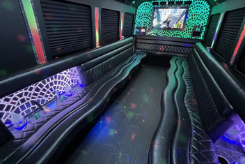 Rochester Limo Bus Interior