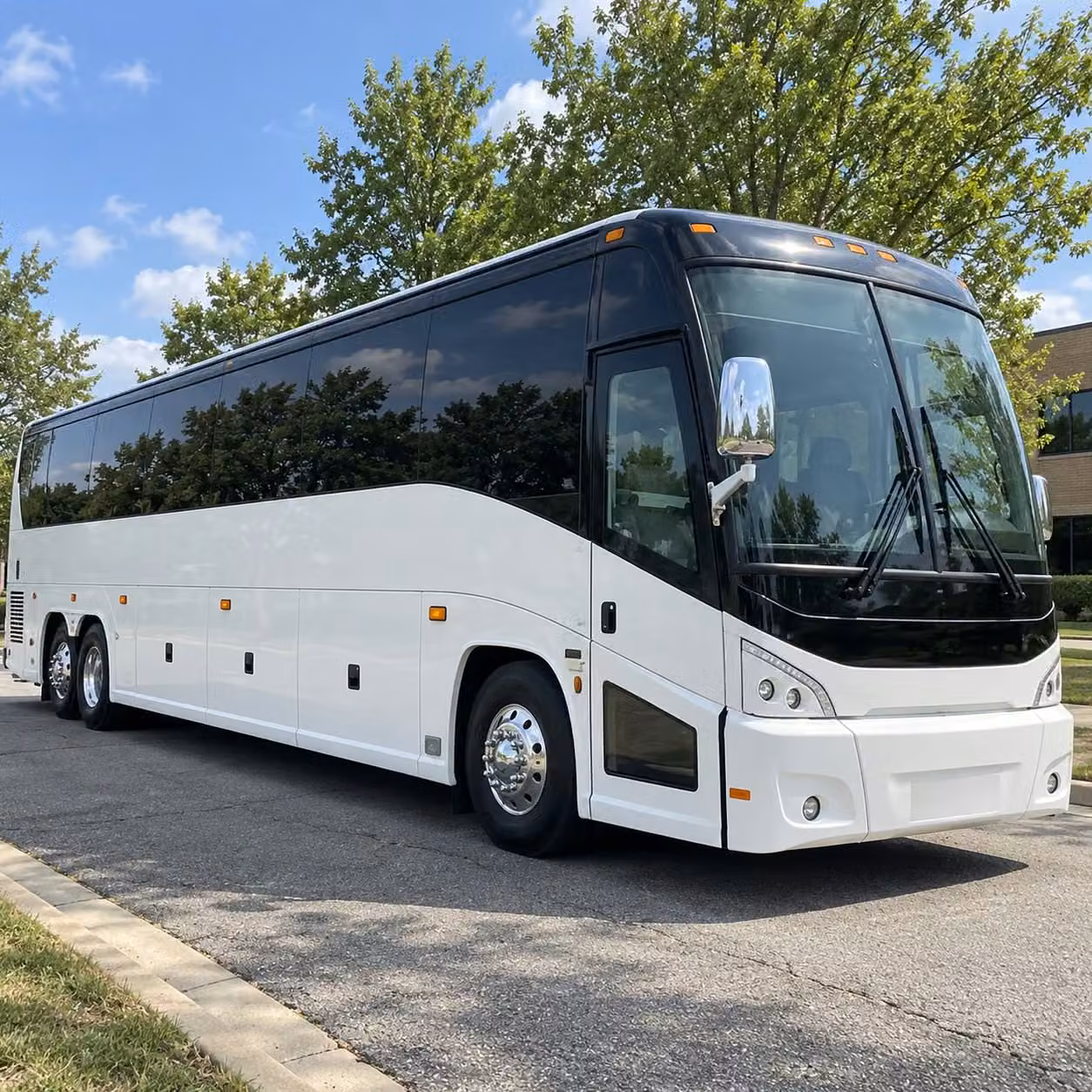 quarry hill nature center field trips are easy with rochester charter bus rentals