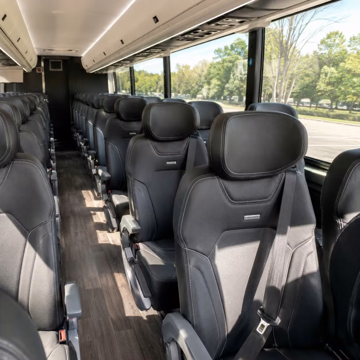 rochester long distance transportation